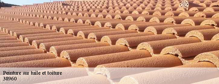 Peinture sur tuile et toiture  38960