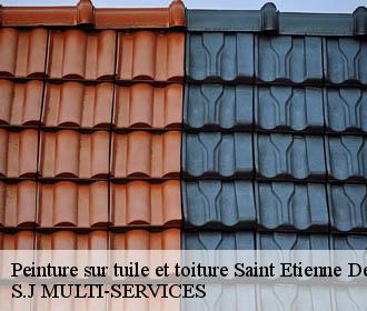 Peinture sur tuile et toiture saint-etienne-de-crossey-38960 S.J MULTI-SERVICES