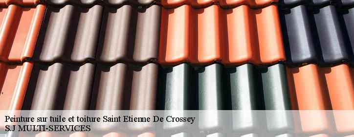 Peinture sur tuile et toiture 38960