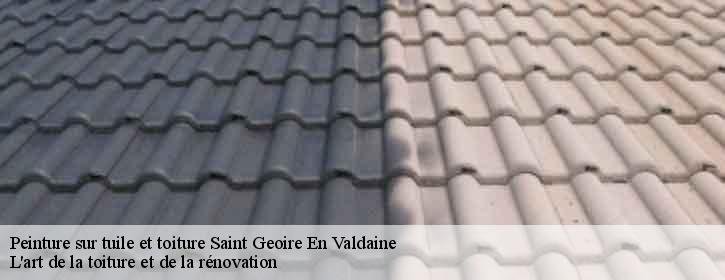 Peinture sur tuile et toiture  38620