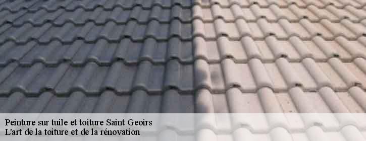 Peinture sur tuile et toiture  38590