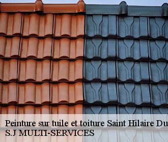 Peinture sur tuile et toiture saint-hilaire-du-rosier-38840 S.J MULTI-SERVICES