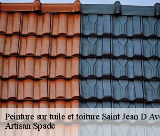 Peinture sur tuile et toiture  saint-jean-d-avelanne-38480 Artisan Spade
