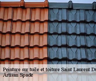 Peinture sur tuile et toiture  saint-laurent-du-pont-38380 Artisan Spade