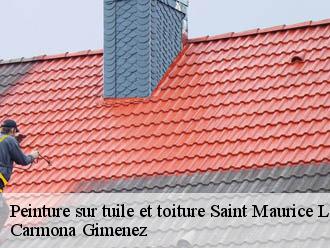 Peinture sur tuile et toiture saint-maurice-l-exil-38550 Carmona Gimenez