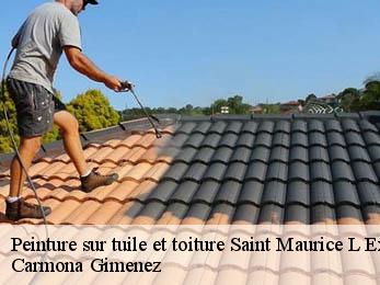 Peinture sur tuile et toiture 38550