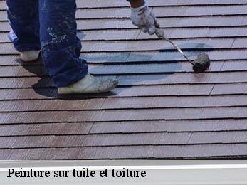 Peinture sur tuile et toiture 38550
