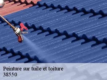 Peinture sur tuile et toiture 38550