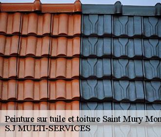 Peinture sur tuile et toiture  saint-mury-monteymond-38190 S.J MULTI-SERVICES
