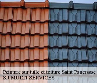 Peinture sur tuile et toiture saint-pancrasse-38660 S.J MULTI-SERVICES