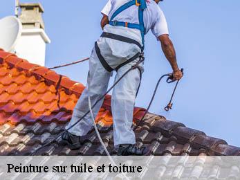 Peinture sur tuile et toiture