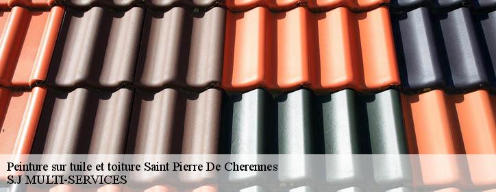 Peinture sur tuile et toiture  38160
