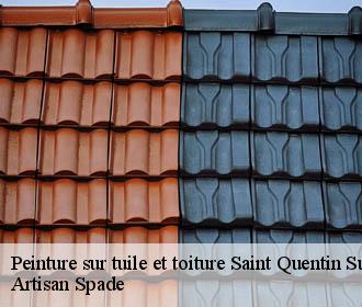 Peinture sur tuile et toiture saint-quentin-sur-isere-38210 Artisan Spade