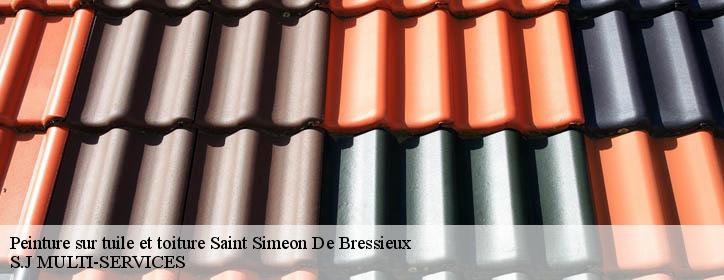 Peinture sur tuile et toiture 38870