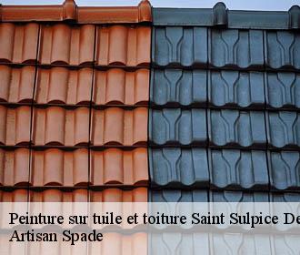 Peinture sur tuile et toiture saint-sulpice-des-rivoires-38620 Artisan Spade