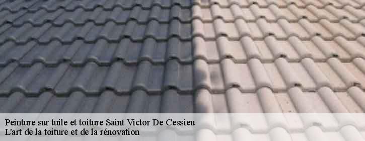 Peinture sur tuile et toiture  38110