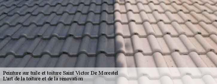 Peinture sur tuile et toiture  38510