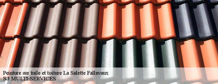 Peinture sur tuile et toiture 38970