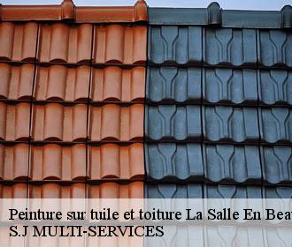 Peinture sur tuile et toiture  la-salle-en-beaumont-38350 S.J MULTI-SERVICES