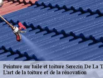 Peinture sur tuile et toiture  serezin-de-la-tour-38300 L'art de la toiture et de la rénovation