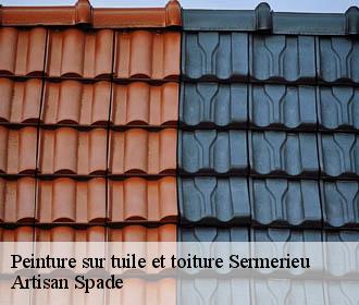 Peinture sur tuile et toiture  sermerieu-38510 Artisan Spade