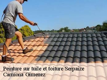 Peinture sur tuile et toiture 38200