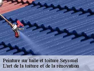 Peinture sur tuile et toiture  seyssuel-38200 L'art de la toiture et de la rénovation