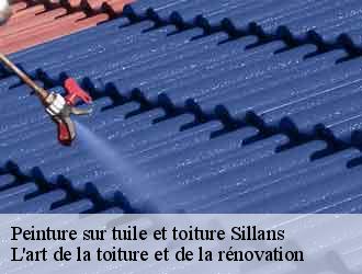 Peinture sur tuile et toiture sillans-38590 L'art de la toiture et de la rénovation
