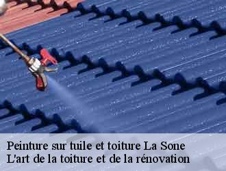 Peinture sur tuile et toiture la-sone-38840 L'art de la toiture et de la rénovation