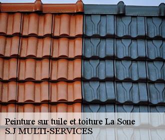 Peinture sur tuile et toiture  la-sone-38840 S.J MULTI-SERVICES
