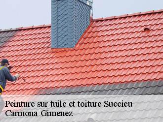 Peinture sur tuile et toiture succieu-38300 Carmona Gimenez