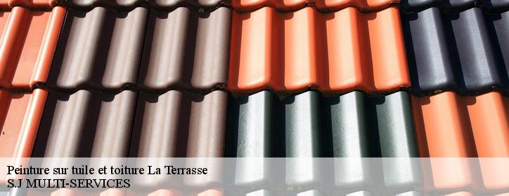 Peinture sur tuile et toiture 38660