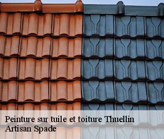 Peinture sur tuile et toiture thuellin-38630 Artisan Spade