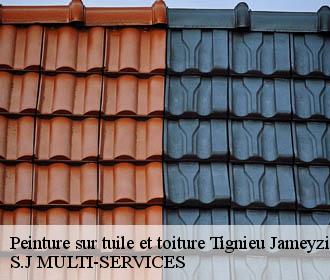 Peinture sur tuile et toiture  tignieu-jameyzieu-38230 S.J MULTI-SERVICES