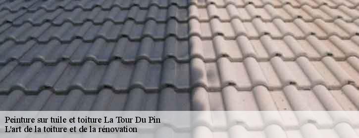 Peinture sur tuile et toiture  38110