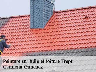 Peinture sur tuile et toiture  trept-38460 Carmona Gimenez
