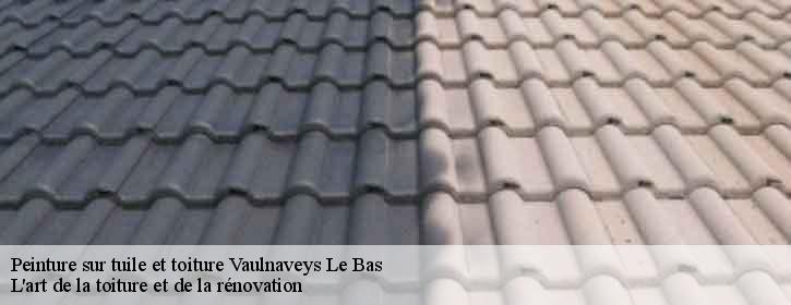 Peinture sur tuile et toiture 38410