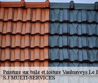 Peinture sur tuile et toiture vaulnaveys-le-bas-38410 S.J MULTI-SERVICES