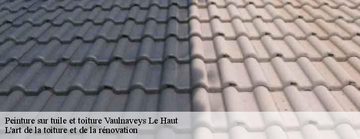 Peinture sur tuile et toiture  38410