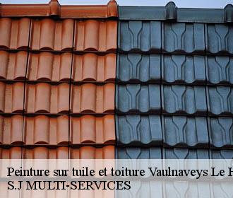 Peinture sur tuile et toiture vaulnaveys-le-haut-38410 S.J MULTI-SERVICES