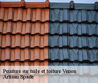 Peinture sur tuile et toiture  venon-38610 Artisan Spade