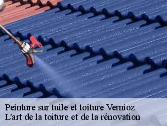 Peinture sur tuile et toiture  vernioz-38150 L'art de la toiture et de la rénovation