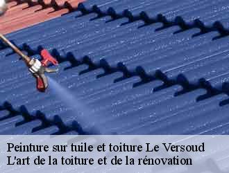 Peinture sur tuile et toiture  le-versoud-38420 L'art de la toiture et de la rénovation