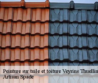 Peinture sur tuile et toiture  veyrins-thuellin-38630 Artisan Spade