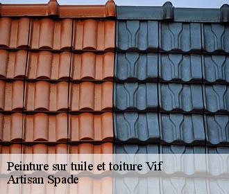 Peinture sur tuile et toiture  vif-38450 Artisan Spade