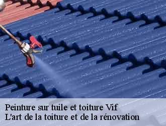 Peinture sur tuile et toiture  vif-38450 L'art de la toiture et de la rénovation
