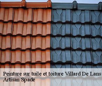 Peinture sur tuile et toiture villard-de-lans-38250 Artisan Spade