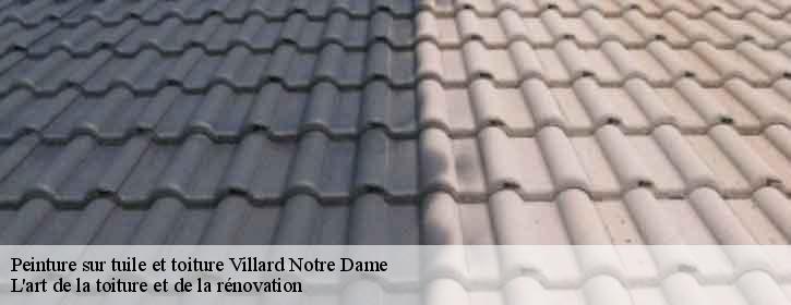 Peinture sur tuile et toiture  38520