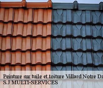 Peinture sur tuile et toiture villard-notre-dame-38520 S.J MULTI-SERVICES