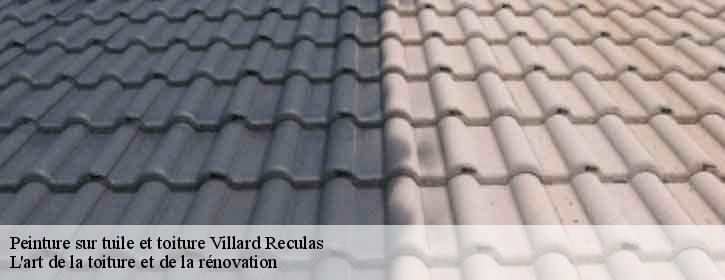 Peinture sur tuile et toiture  38114